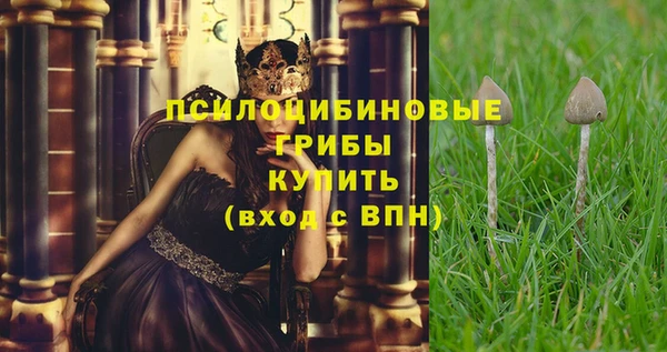 дмт Баксан