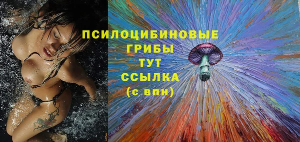 дмт Баксан