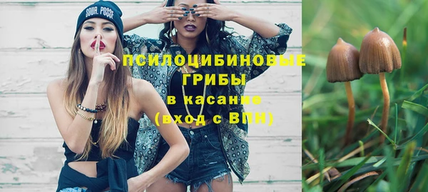 гашик Балабаново