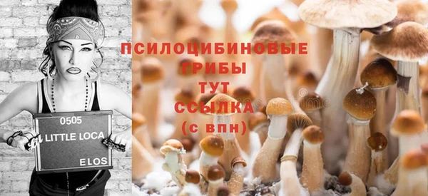 хмурый Балахна