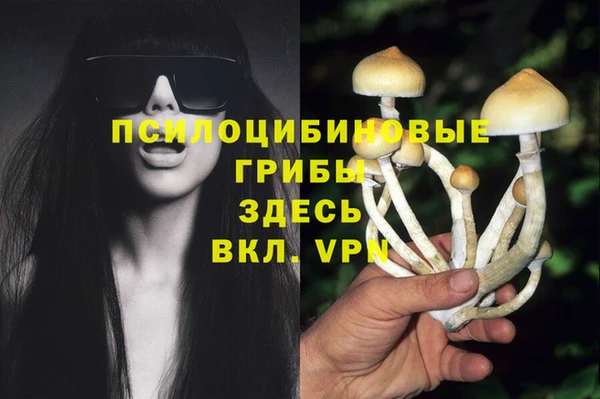 дмт Баксан
