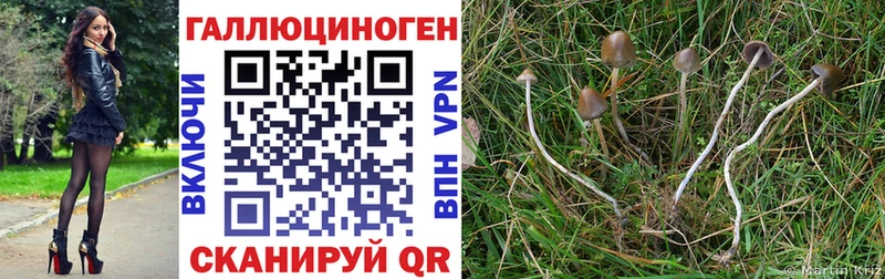 Псилоцибиновые грибы MAGIC MUSHROOMS  Купить закладки  Чистополь 